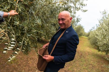 Oljke, sorte ascolana, je pomagal obrati tudi piranski podžupan Robert Fakin.